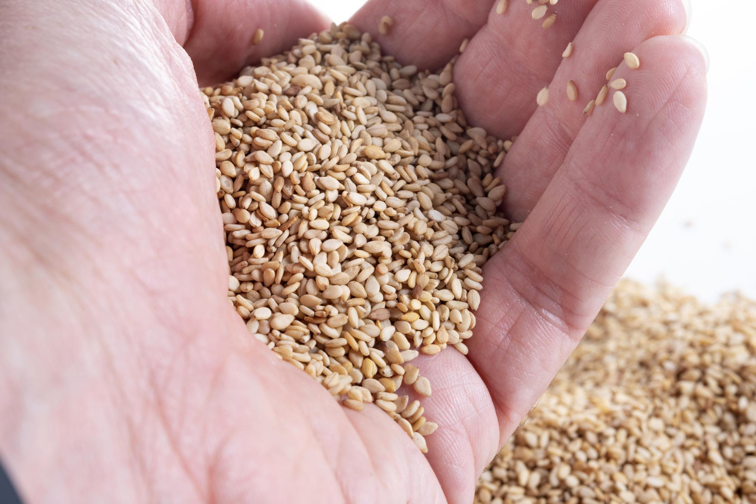 Gergelim premium SBM AGRO