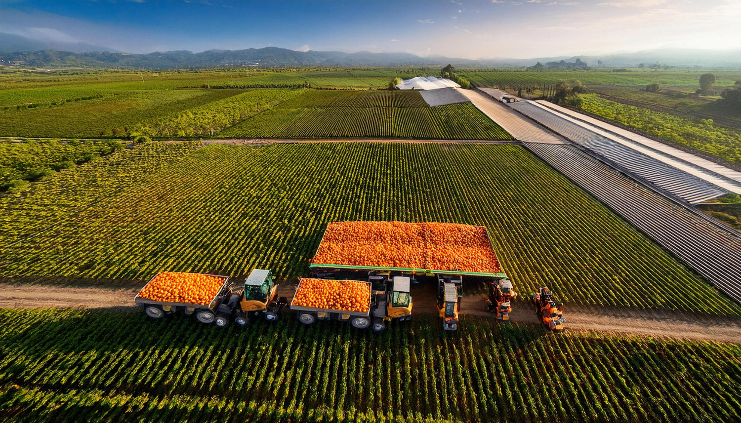 Campo agrícola moderno com produção e logística
